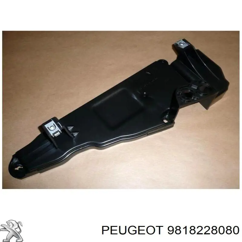9818228080 Peugeot/Citroen 