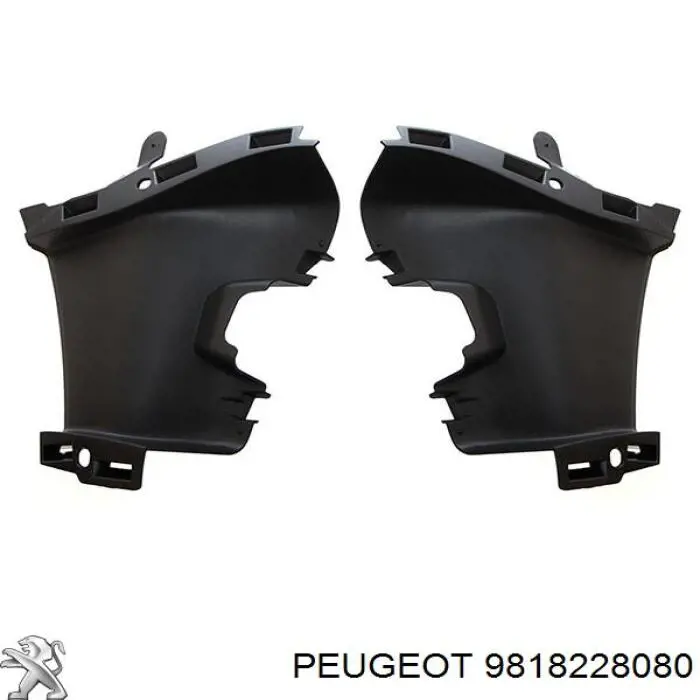  Peugeot/Citroen 9818228080