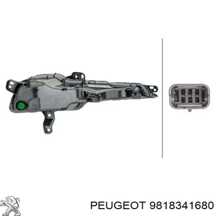 9818341680 Peugeot/Citroen Pisca-pisca esquerdo