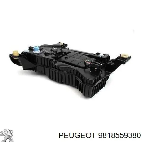 9818559380 Peugeot/Citroen Tanque AD BLUE