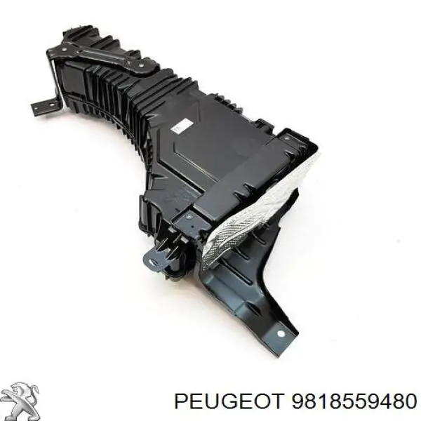 Tanque AD BLUE Peugeot/Citroen 9818559480