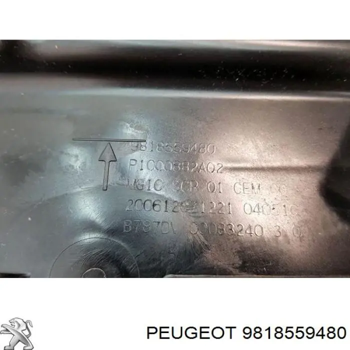 Tanque AD BLUE 9818559480 Peugeot/Citroen