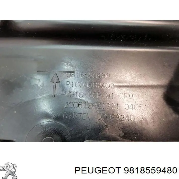 Tanque AD BLUE Peugeot/Citroen 9818559480 preço, a partir de 610,53 USD