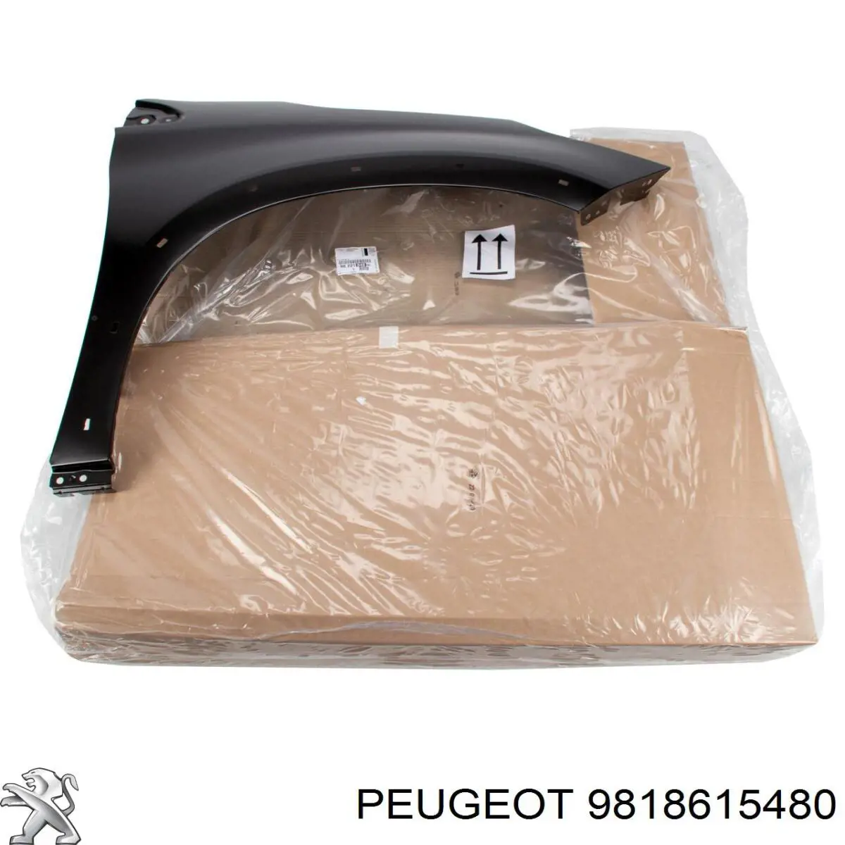 9822104880 Peugeot/Citroen Pára-lama dianteiro direito