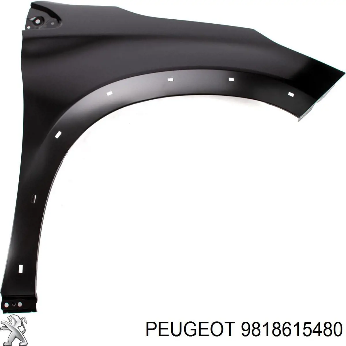 Compre 9822104880 Peugeot/Citroen Pára-lama dianteiro direito