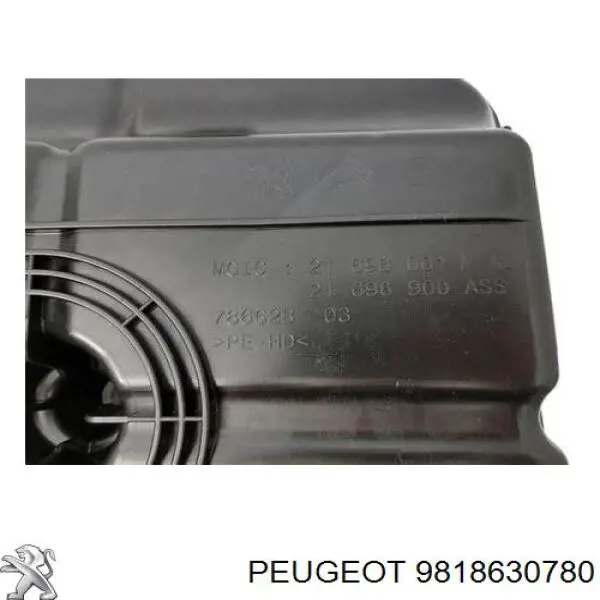 Tanque AD BLUE Peugeot/Citroen 9818630780