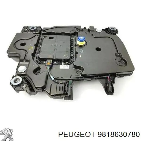 9818630780 Peugeot/Citroen Tanque AD BLUE