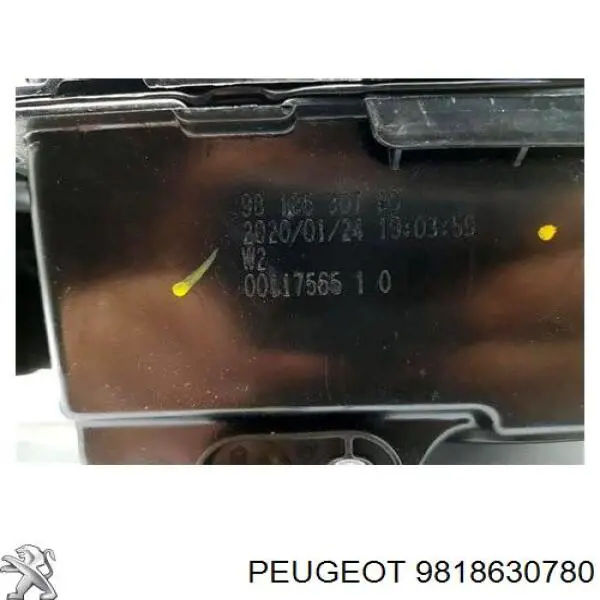 Tanque AD BLUE 9818630780 Peugeot/Citroen