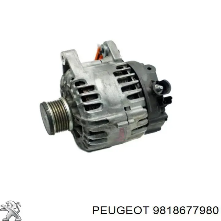 9818677980 Peugeot/Citroen Gerador