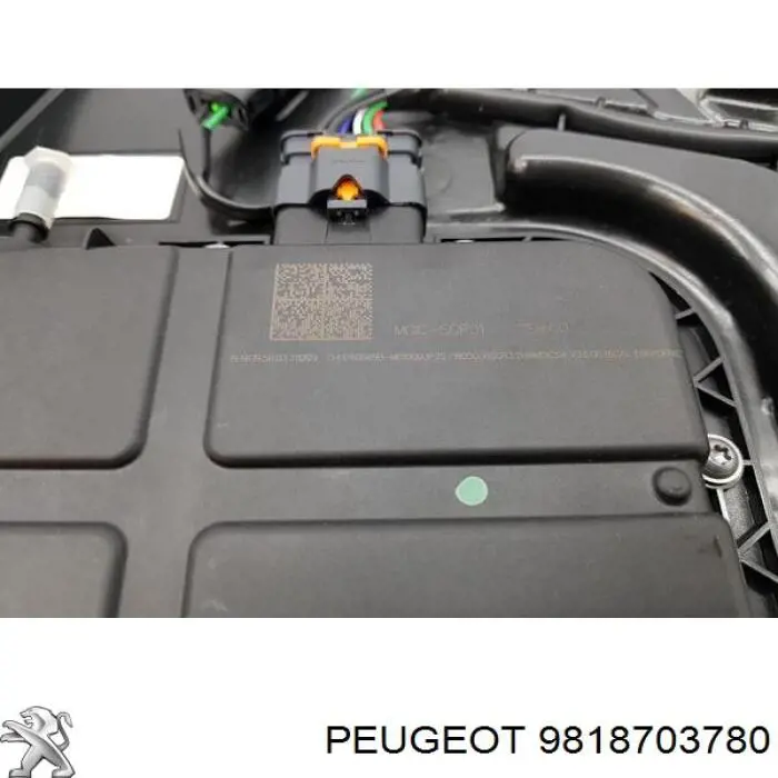Compre 9818703780 Peugeot/Citroen Tanque AD BLUE