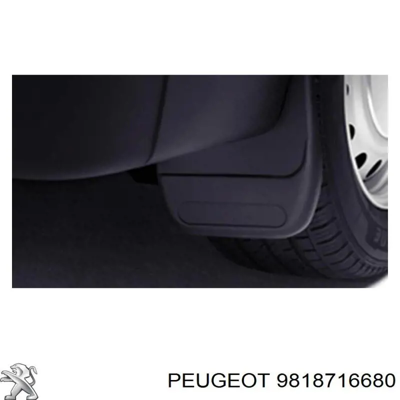 Tanque AD BLUE Peugeot/Citroen 9818716680 preço, a partir de 824,04 USD