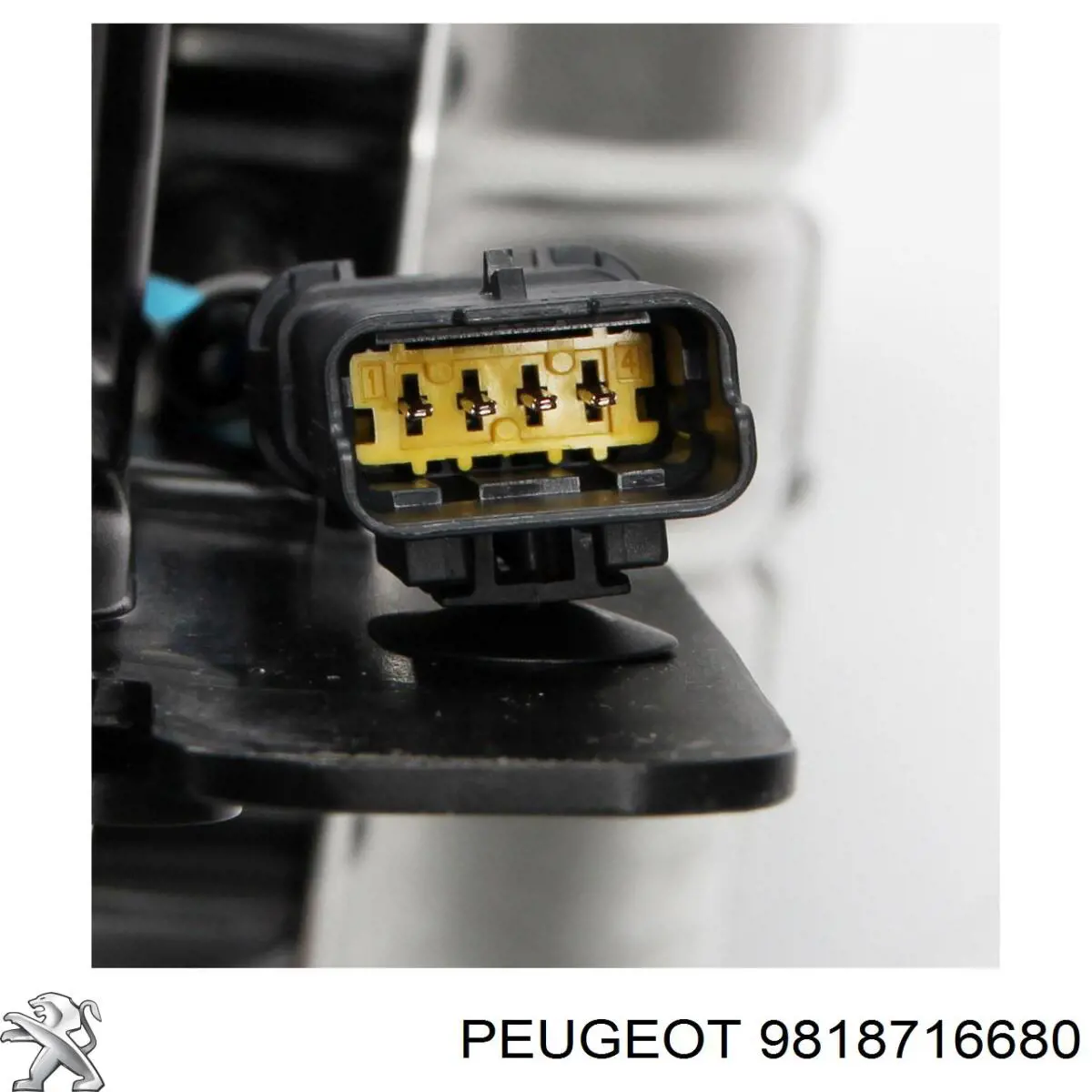 Tanque AD BLUE Peugeot/Citroen 9818716680
