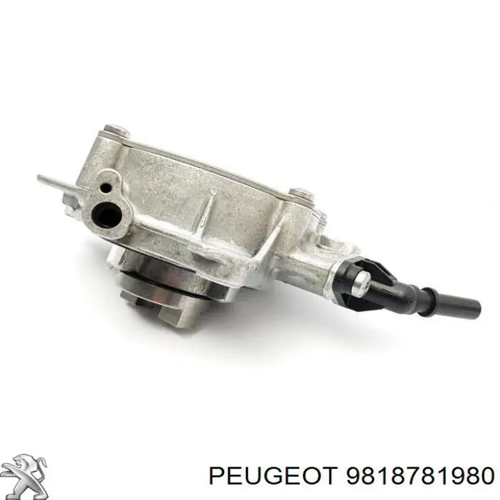 Bomba a vácuo Peugeot/Citroen 9818781980 preço, a partir de 208,90 USD