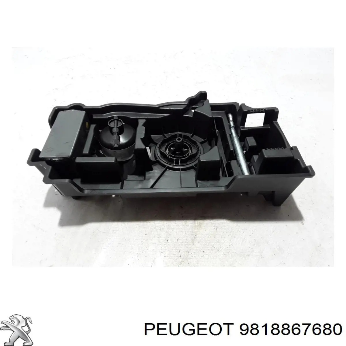  9818867680 Peugeot/Citroen