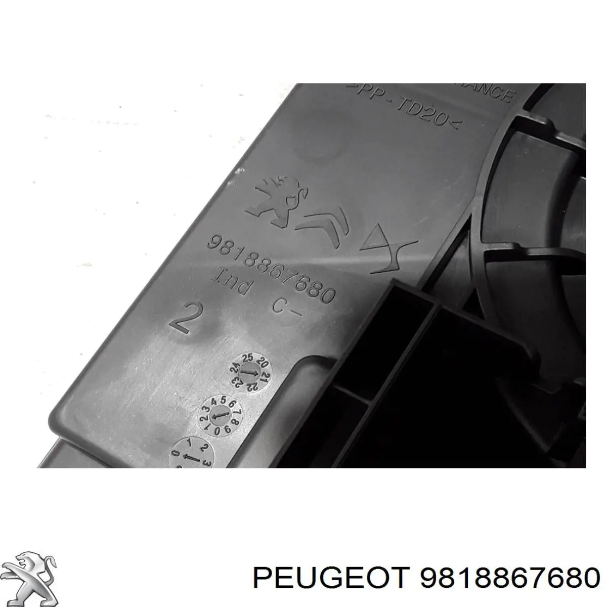 9818867680 Peugeot/Citroen 