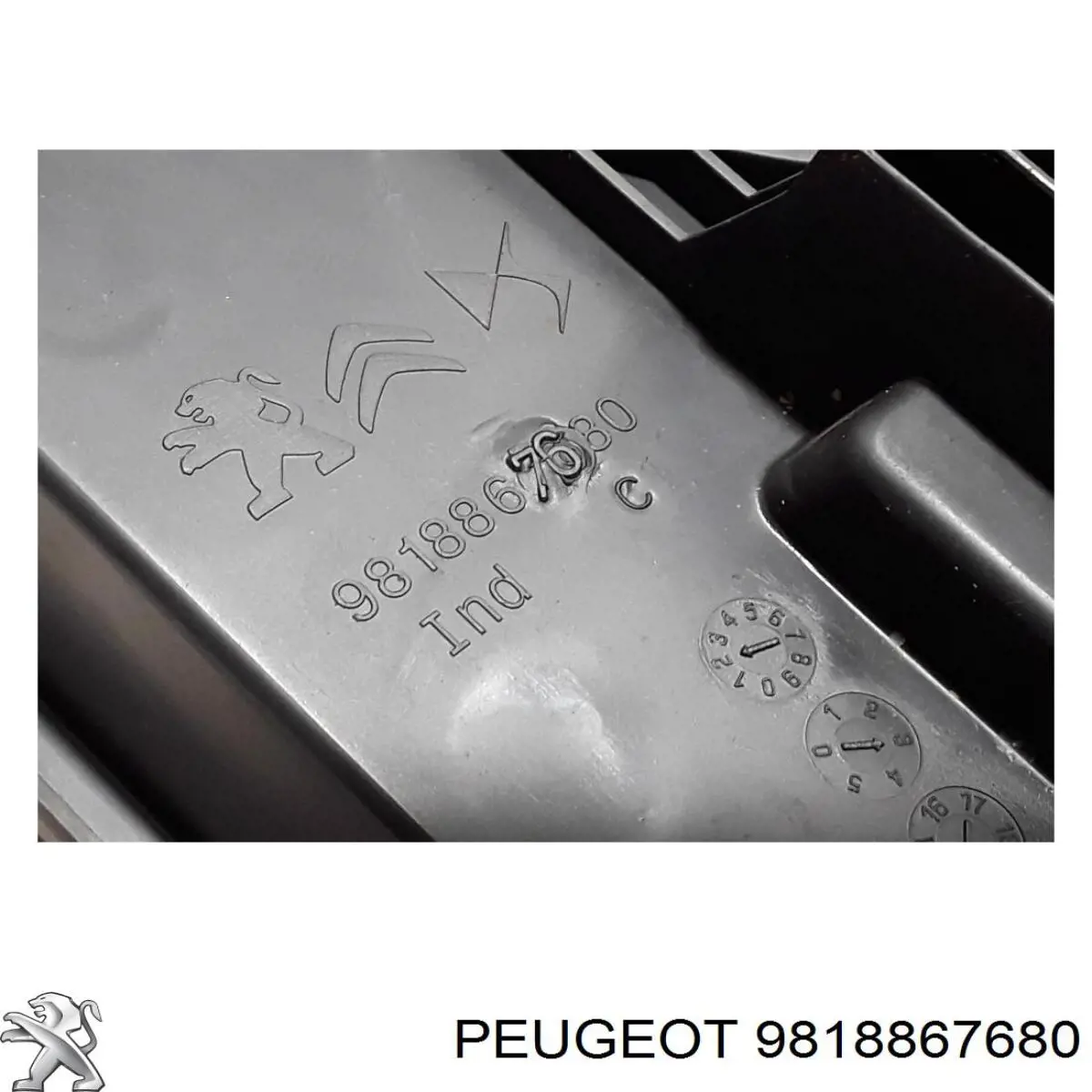 Compre 9818867680 Peugeot/Citroen 