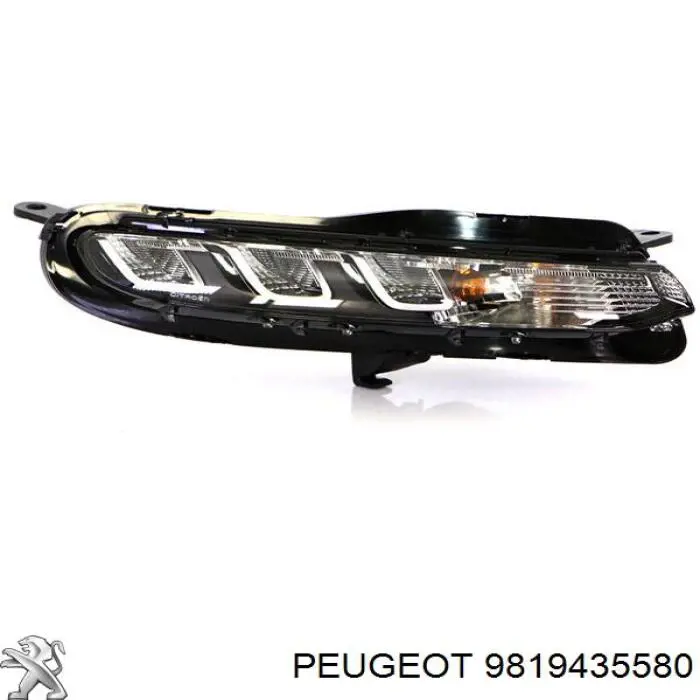 9819435580 Peugeot/Citroen Luzes máximas direitas