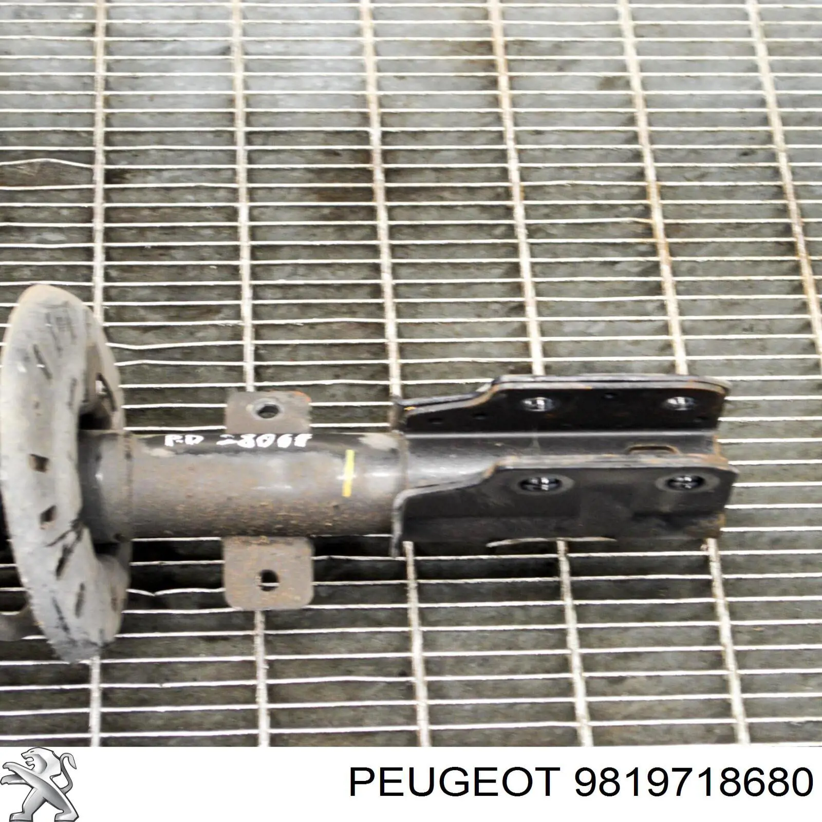 Compre 9838262380 Peugeot/Citroen Amortecedor dianteiro