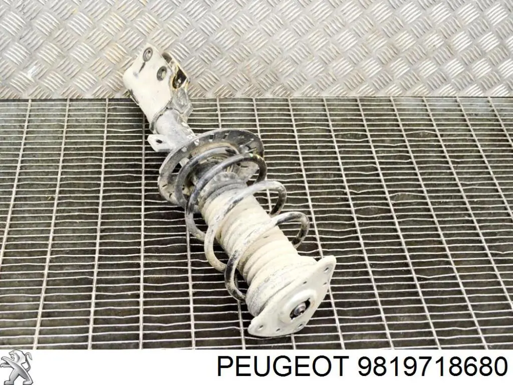 Amortecedor dianteiro Peugeot/Citroen 9819718780 preço, a partir de 93,80 USD