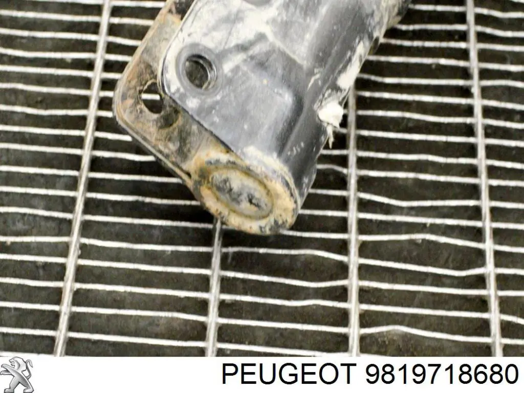 Compre 9819718780 Peugeot/Citroen Amortecedor dianteiro