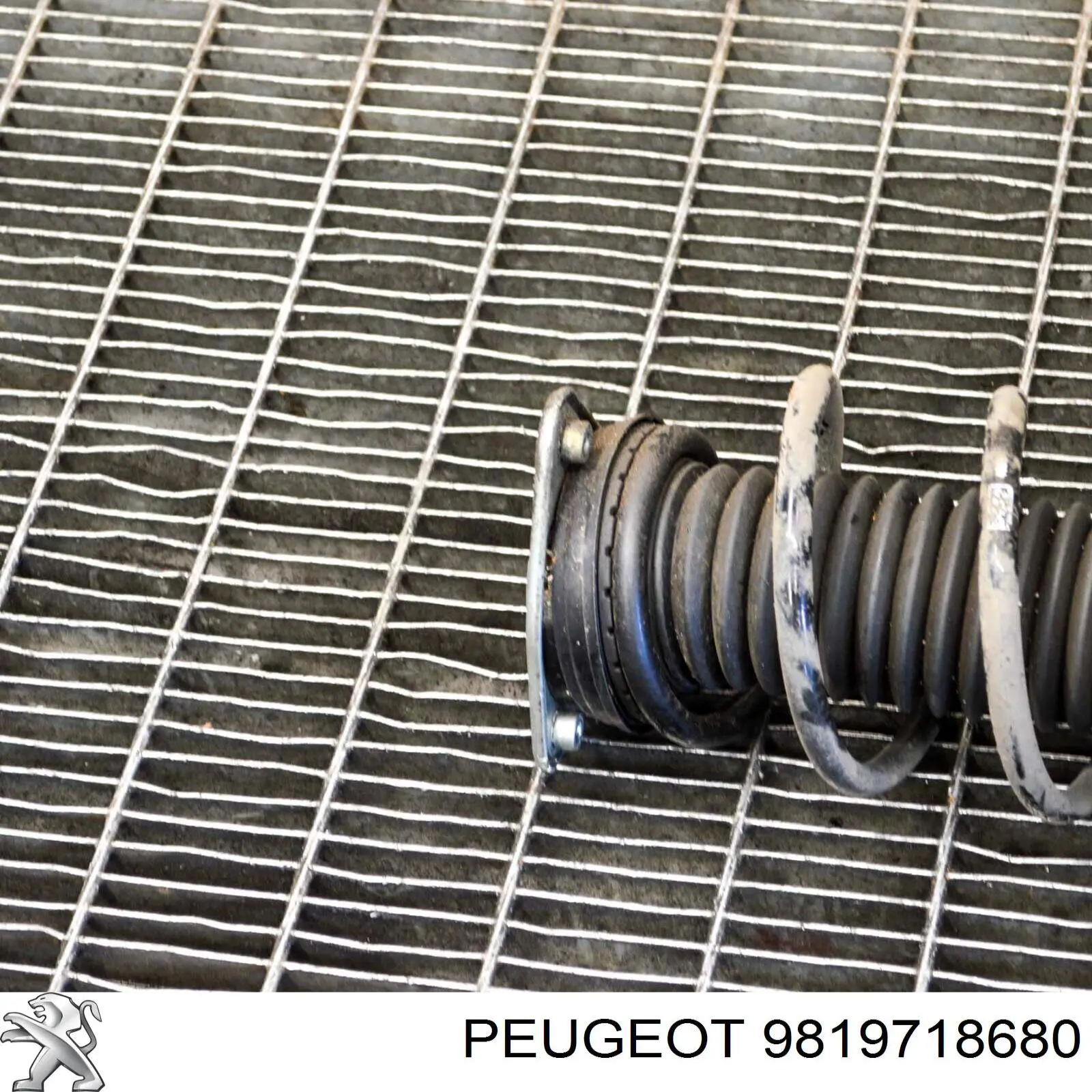 Amortecedor dianteiro Peugeot/Citroen 9838262380