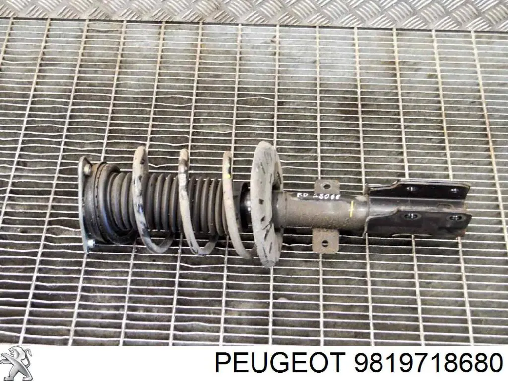 9819718780 Peugeot/Citroen Amortecedor dianteiro