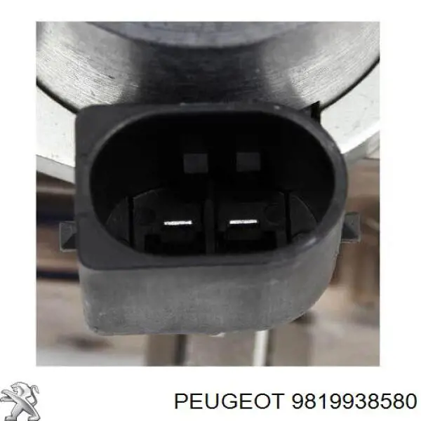 Bomba de combustível de pressão alta Peugeot/Citroen 9819938580 preço, a partir de 655,90 USD