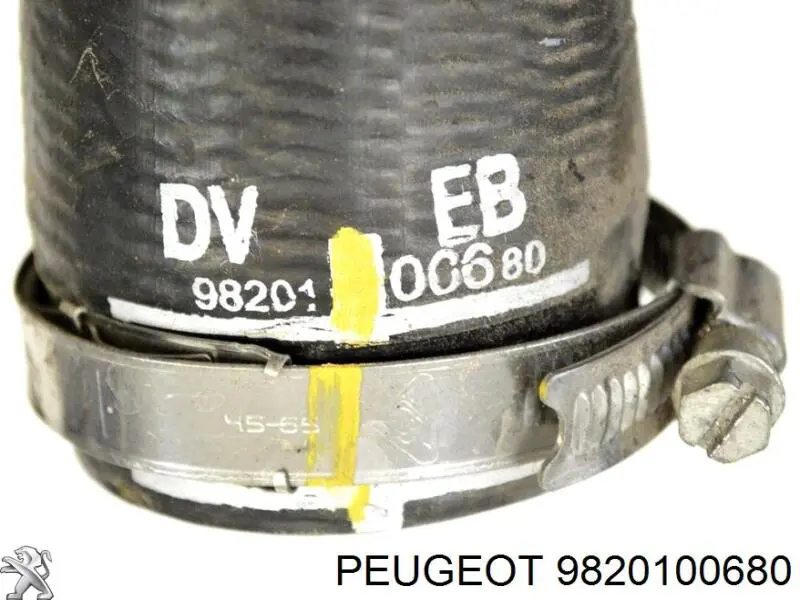 Mangueira (cano derivado) de intercooler 9820100680 Peugeot/Citroen