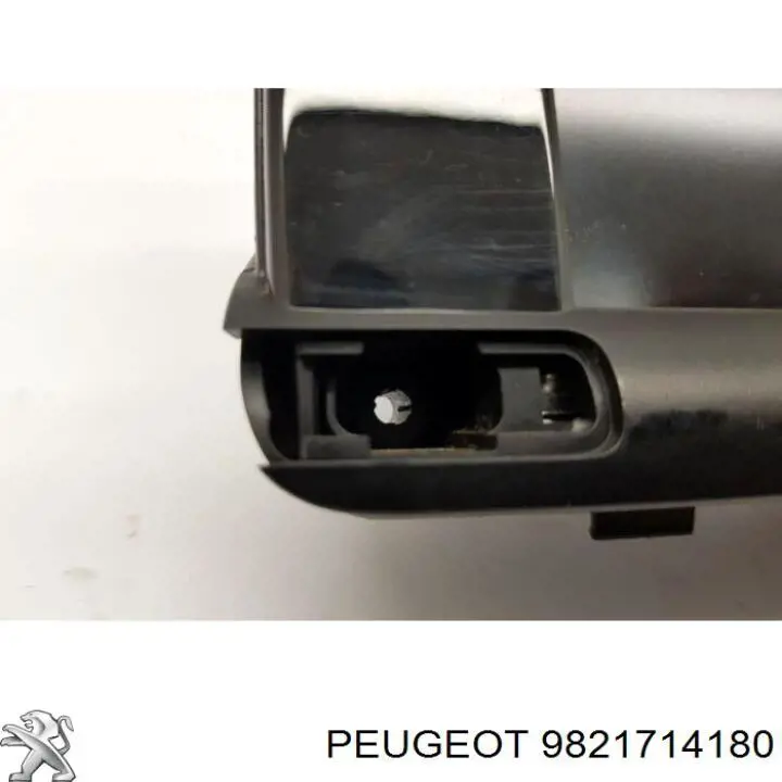 9821714180 Peugeot/Citroen 