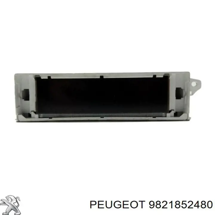 9821852480 Peugeot/Citroen 