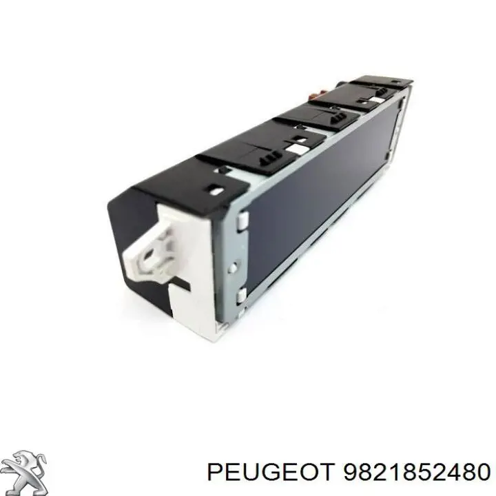  9821852480 Peugeot/Citroen
