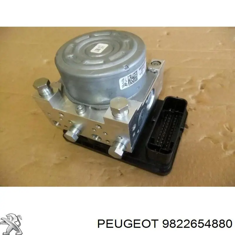 9822654880 Peugeot/Citroen 