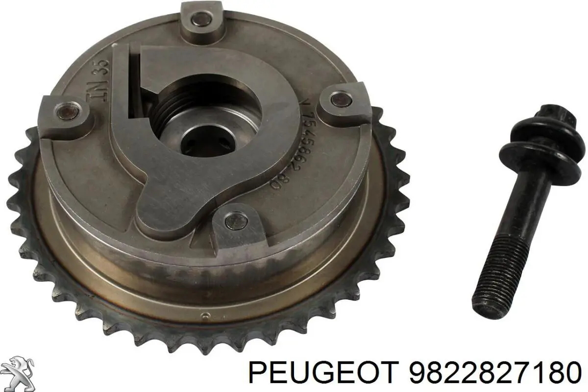 Compre 9822827180 Peugeot/Citroen Cadeia do mecanismo de distribuição de gás, kit