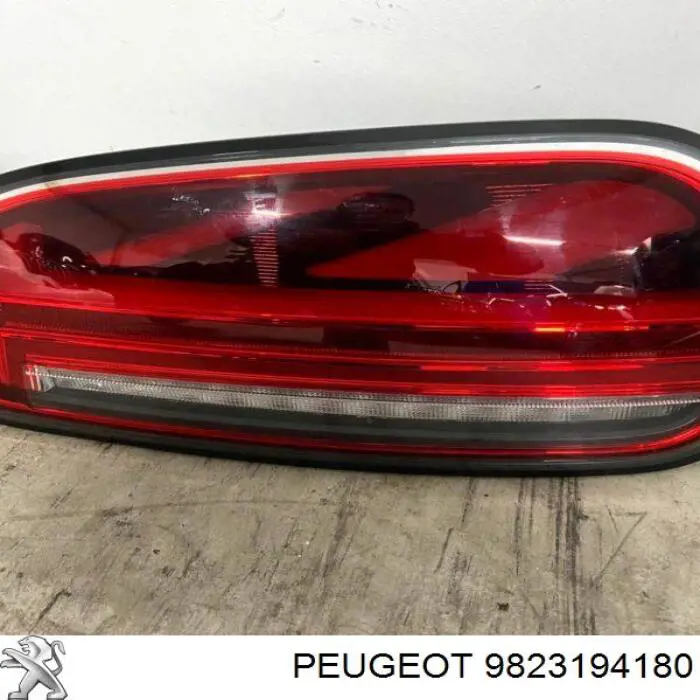 9823194180 Peugeot/Citroen 