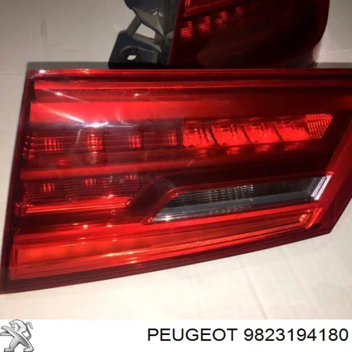  9823194180 Peugeot/Citroen