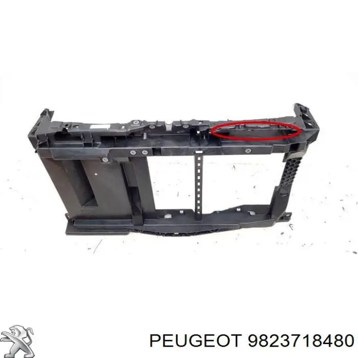 Suporte do radiador montado (painel de montagem de fixação das luzes) Peugeot/Citroen 9823718480