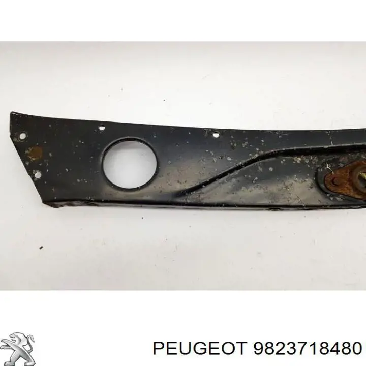 Suporte do radiador montado (painel de montagem de fixação das luzes) 9823718480 Peugeot/Citroen