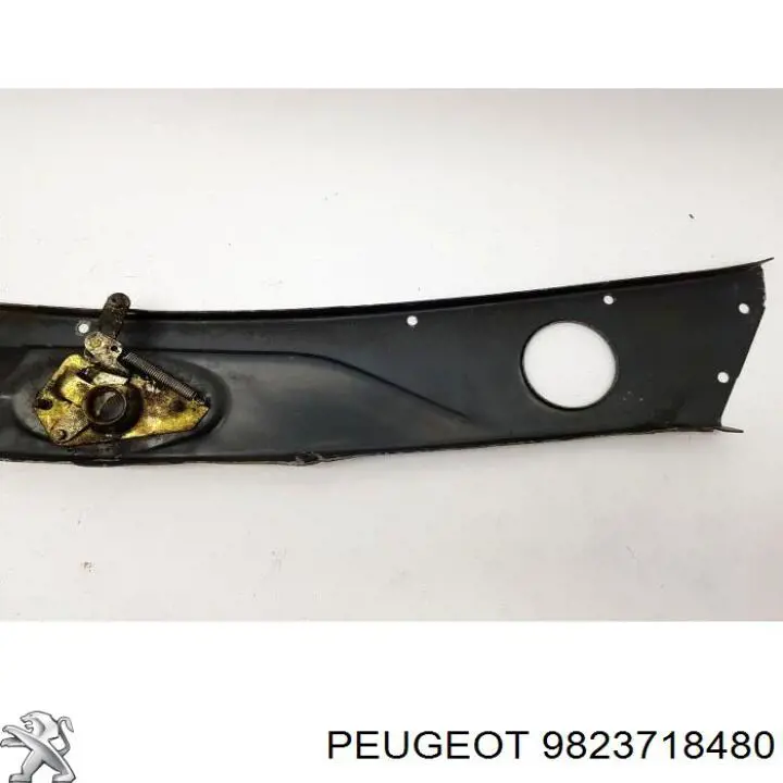 9823718480 Peugeot/Citroen Suporte do radiador montado (painel de montagem de fixação das luzes)