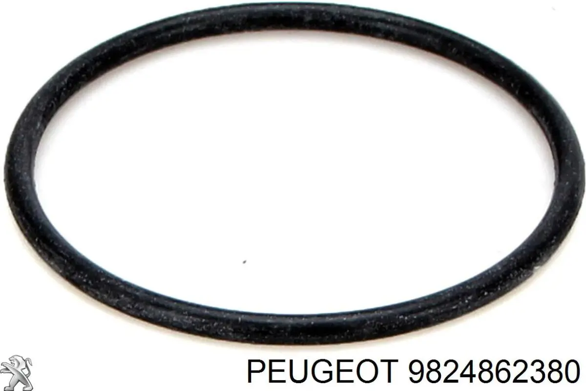  9824862380 Peugeot/Citroen