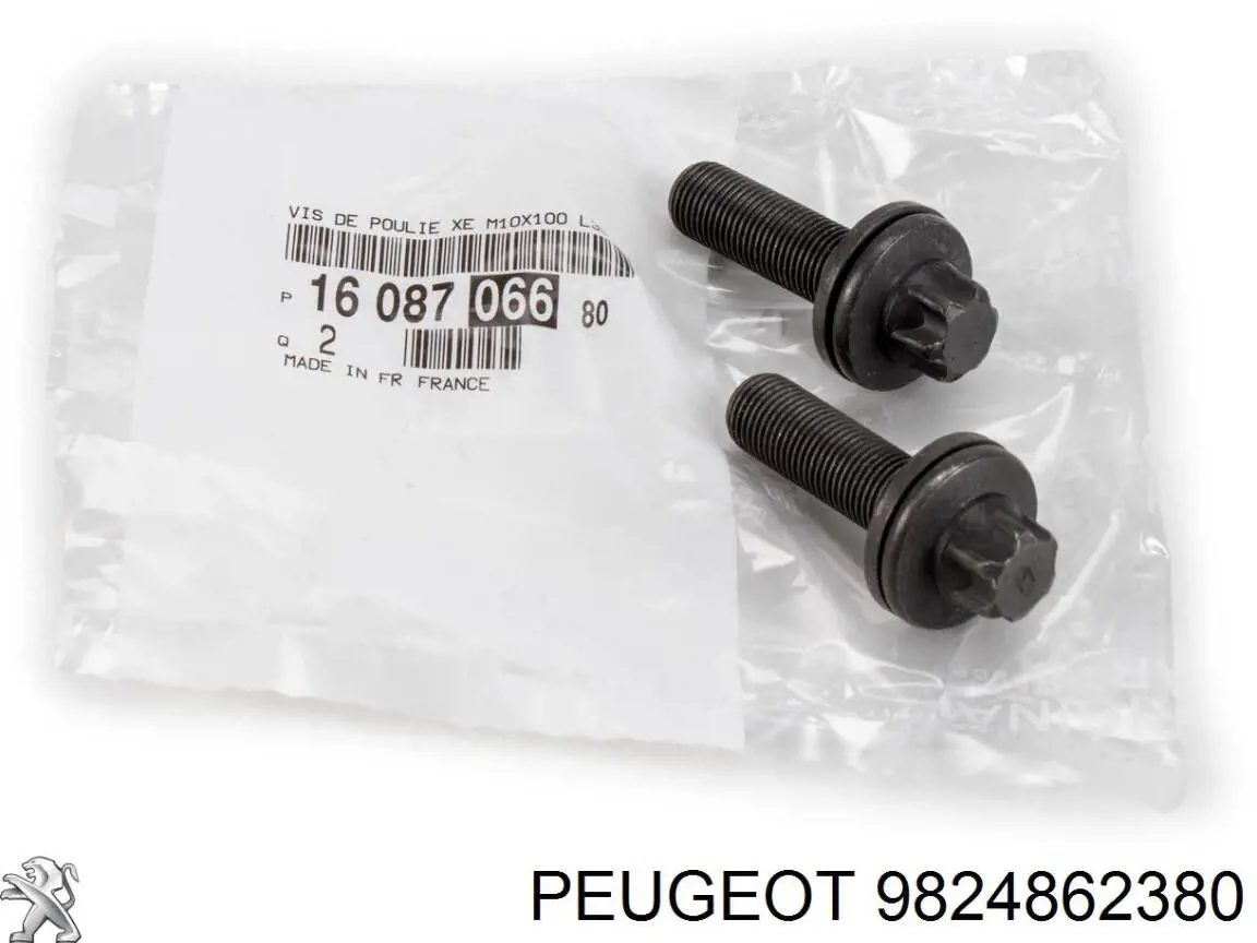 9824862380 Peugeot/Citroen 