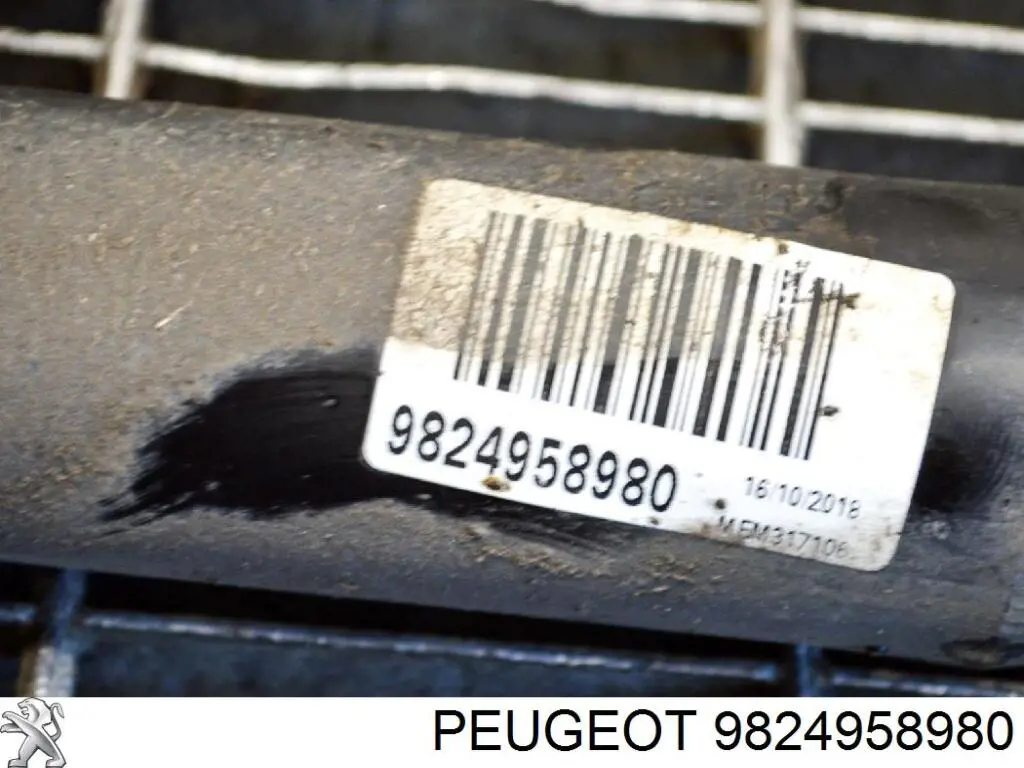 Compre 9824958980 Peugeot/Citroen Amortecedor traseiro