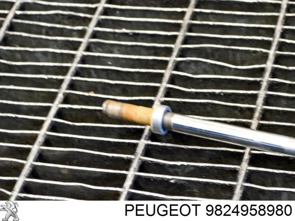 Amortecedor traseiro Peugeot/Citroen 9824958980