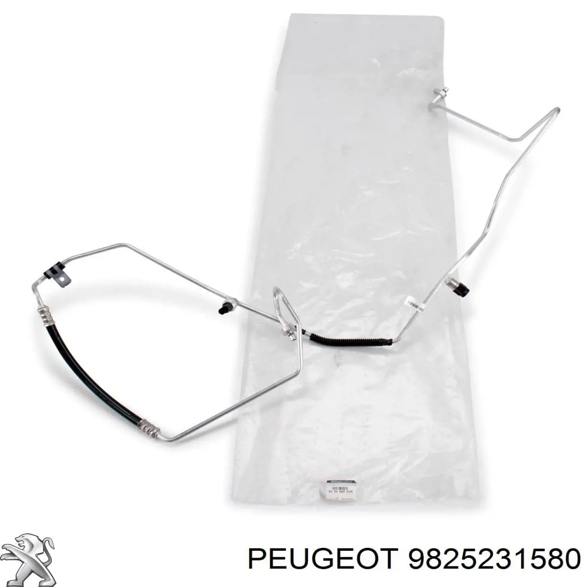 9825231580 Peugeot/Citroen 