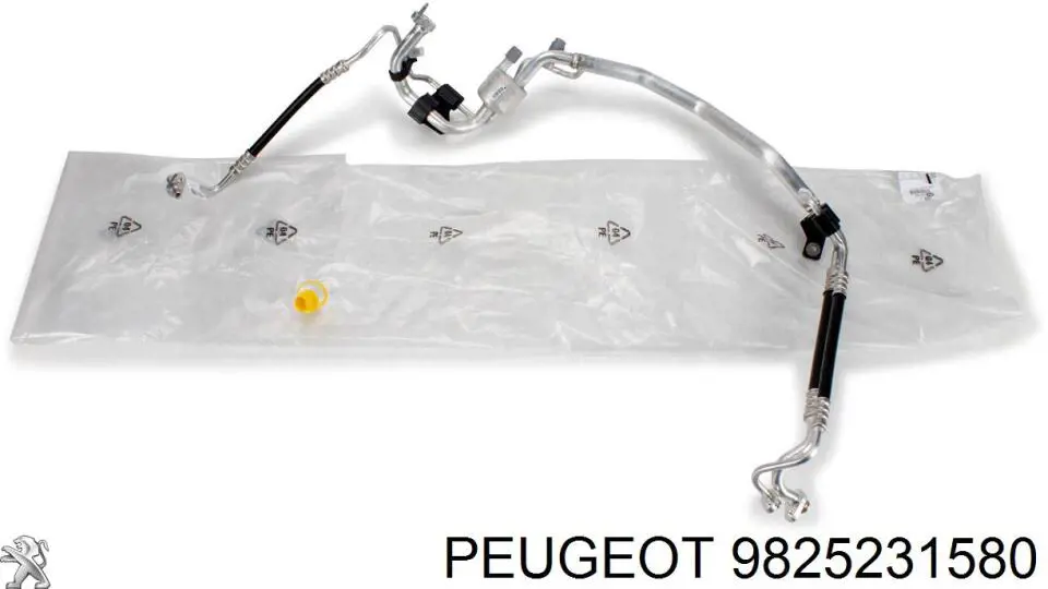  9825231580 Peugeot/Citroen