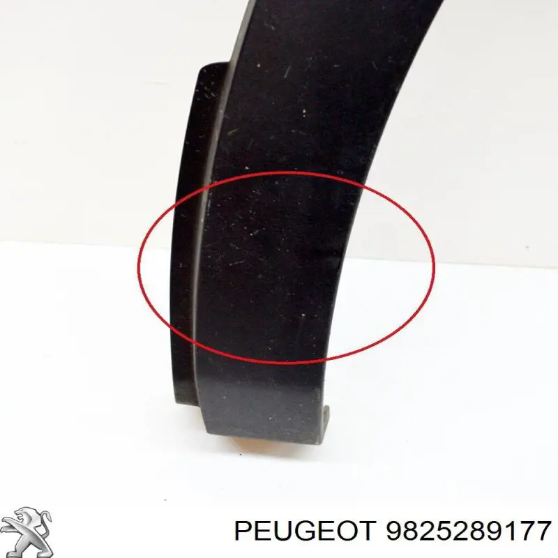 9825289177 Peugeot/Citroen 