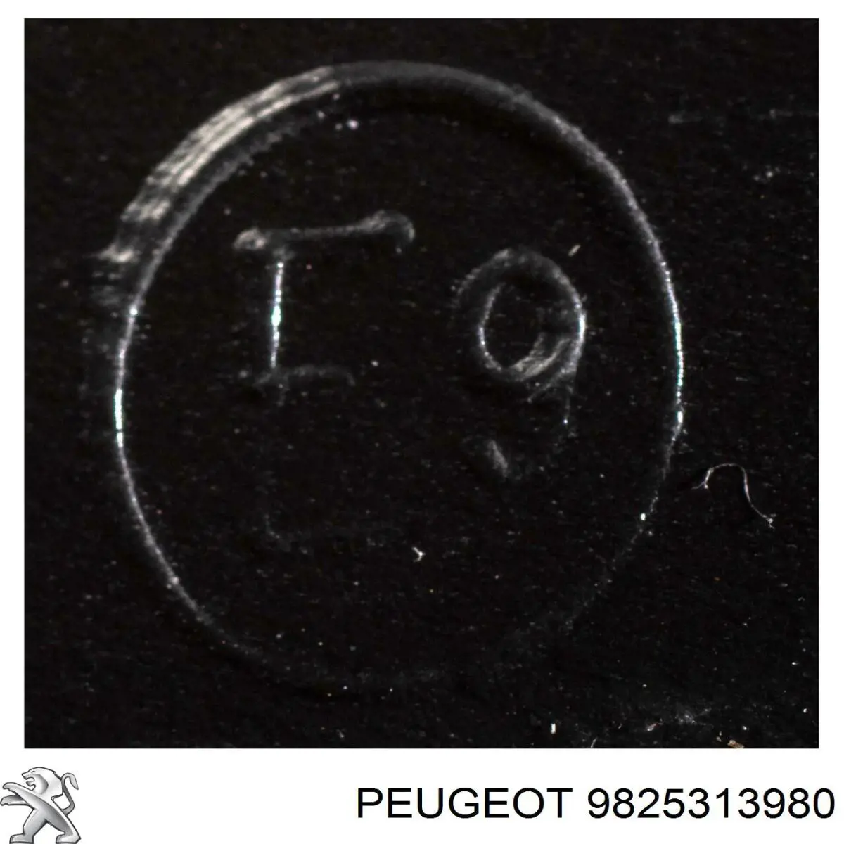 9825313980 Peugeot/Citroen Luz esquerda