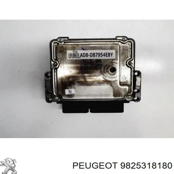 9825318180 Peugeot/Citroen 