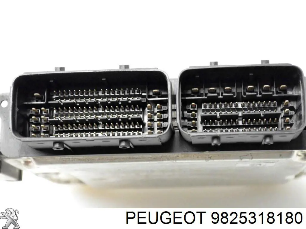  Peugeot/Citroen 9825318180
