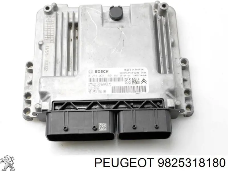  9825318180 Peugeot/Citroen