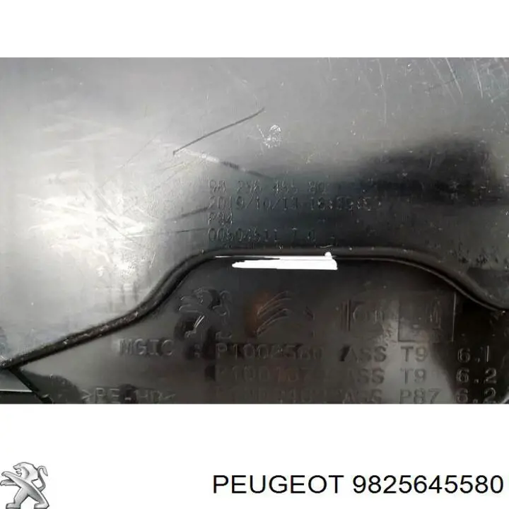 Tanque AD BLUE 9810666280 Peugeot/Citroen